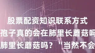 股票配资知识联系方式鸡枞菌散孢子真的会在肺里长蘑菇吗？“当然不会