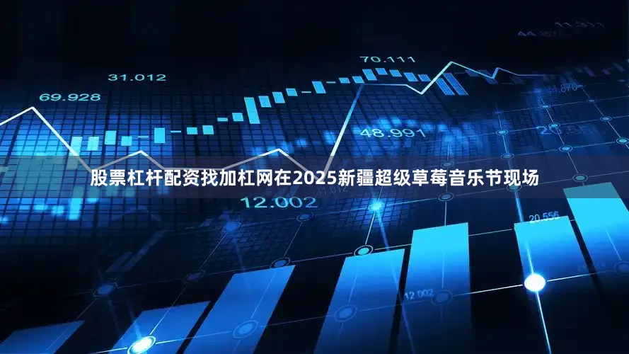 股票杠杆配资找加杠网在2025新疆超级草莓音乐节现场