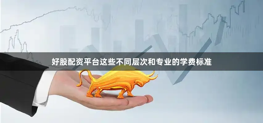 好股配资平台这些不同层次和专业的学费标准