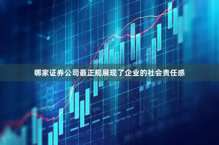 哪家证券公司最正规展现了企业的社会责任感